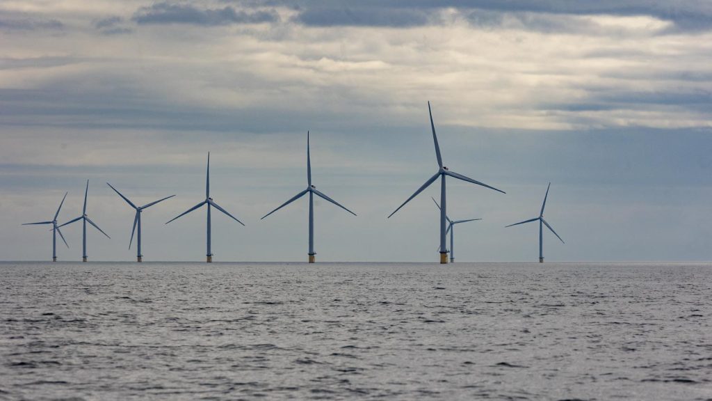 A crop of wind turbines stand on their yellow painted bases rising out of the North Sea