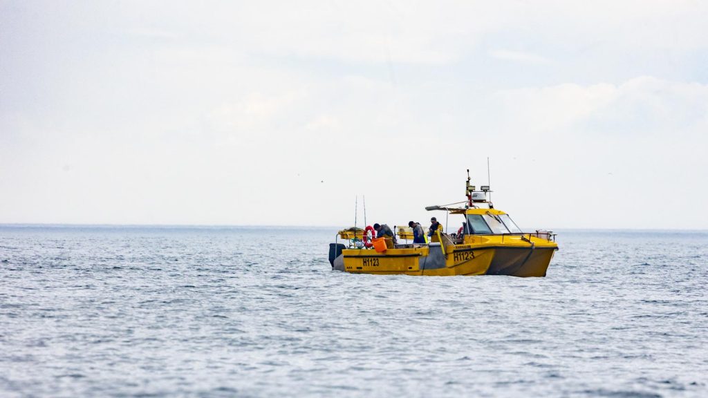 A yellow catamaran fast fishing boat powered by outboards pulls lobster pots from a calm north sea